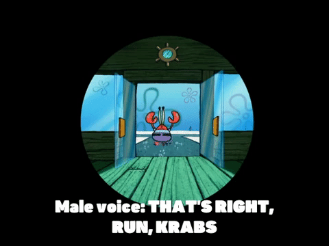 season 5 new digs GIF by SpongeBob SquarePants