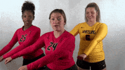 WJUCardinals wheeling university wheeling volleyball wheeling vball GIF