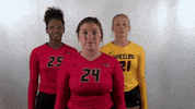 WJUCardinals wheeling university wheeling volleyball wheeling vball GIF