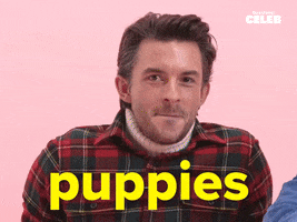 Matt Bomer Puppies GIF by BuzzFeed