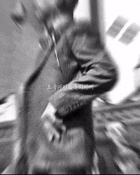 Korea Freedom GIF