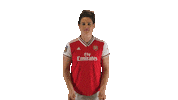 Swipe Up Arsenal Women Sticker by Barclays FAWSL