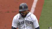 High Five Major League Baseball GIF by MLB