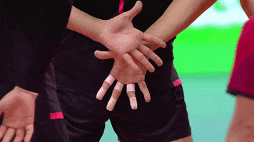 Lets Go Japan GIF by Volleyball World