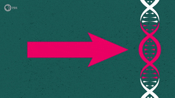Above The Noise Politics GIF by PBS Digital Studios
