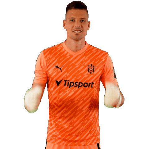 Spartak Trnava Football Sticker by Nike liga