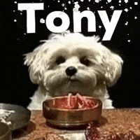 Tony GIF