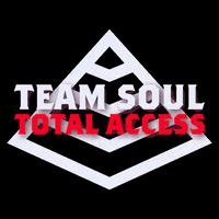 teamsoul crossfit tst teamsoul crossfitsoul GIF