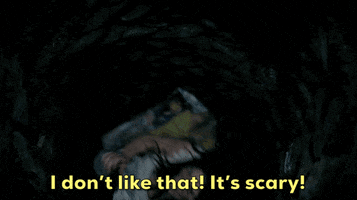 Scared Scaredy Cat GIF by CBS
