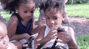 african american news GIF