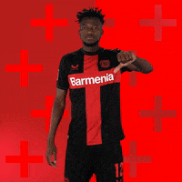 Bayer 04 No GIF by Bayer 04 Leverkusen