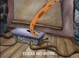 nicksplat GIF