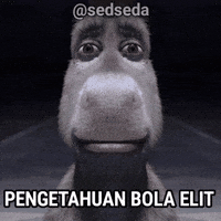 Sedseda GIF