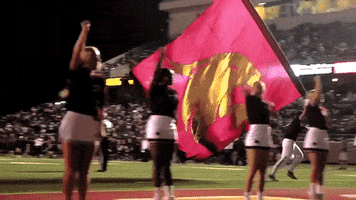 San Marcos Bobcats GIF by Texas State Football