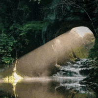 Cave Sunlight GIF