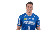 Handball-Bundesliga Handball Sticker by LIQUI MOLY HBL