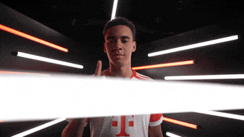 Germany No GIF by Bundesliga