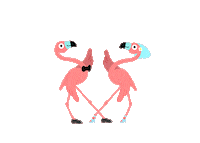 Wedding Flamingo Sticker by Tambu Klavye