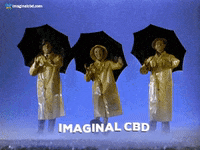 Happy Friends GIF by Imaginal Biotech