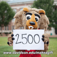 givedavidson GIF by Davidson College