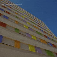 Drunk Party GIF by La Guarimba Film Festival