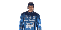 Hockey Bostjan Sticker by Les Rapaces de Gap