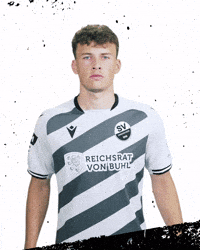 3Liga GIF by SV Sandhausen