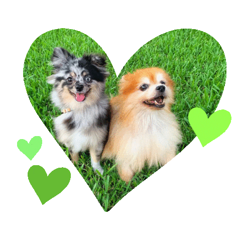 Valentines Day Love Sticker