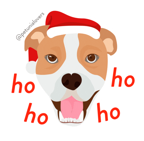 Diciembre Petunia Sticker by Petunialovers