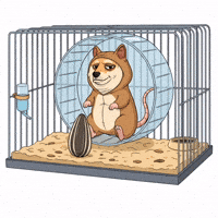 Sitting Shiba Inu GIF by Doge Pound