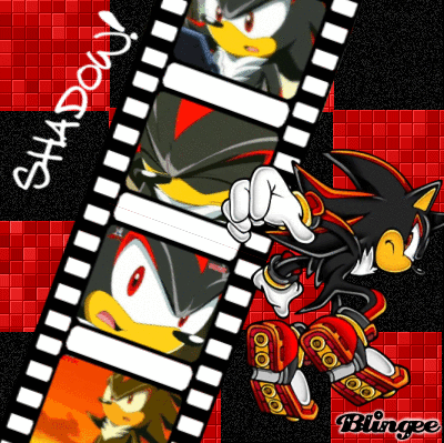 shadow the hedgehog GIF