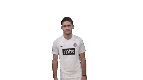 Partizan Sticker by sportmts
