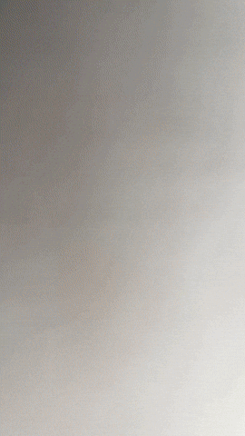 Mono Littlenightmares GIF by Youtooz