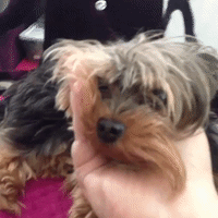 GIF by andymilonakis