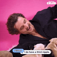 Star Wars Dog GIF by BuzzFeed