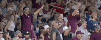 College World Series Baseball GIF by NCAA Championships