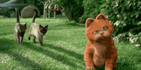 cats kittens GIF by 20th Century Fox Home Entertainment