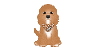 Cute Dog Sticker by zoopeez