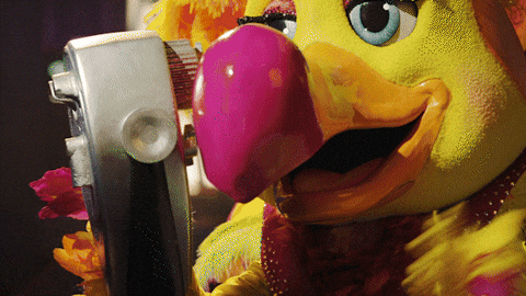 Themaskedsinger GIF by Reality Club FOX