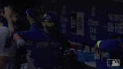 celebrate toronto blue jays GIF by MLB