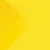 Construtoracanopus GIF by Canopus