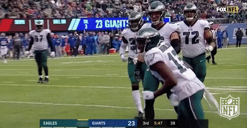 philadelphia eagles football GIF by NFL