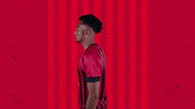 Celebrating Bring It GIF by AFC Bournemouth