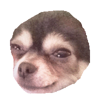 chihuahua STICKER by imoji