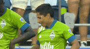 Football Celebrate GIF by Major League Soccer