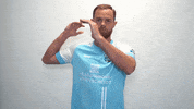Fc GIF by ChemnitzerFC
