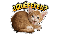 Queeeee Sticker