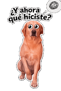 Y Ahora Que Travesura Sticker