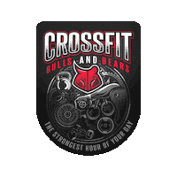 frankfurt bullsproof Sticker by CrossFit Bulls and Bears