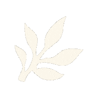 Skincare Waxing Sticker by The Pink Canoe Studio